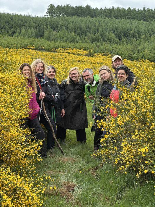 Groupe souriant au milieu des genêts en fleurs