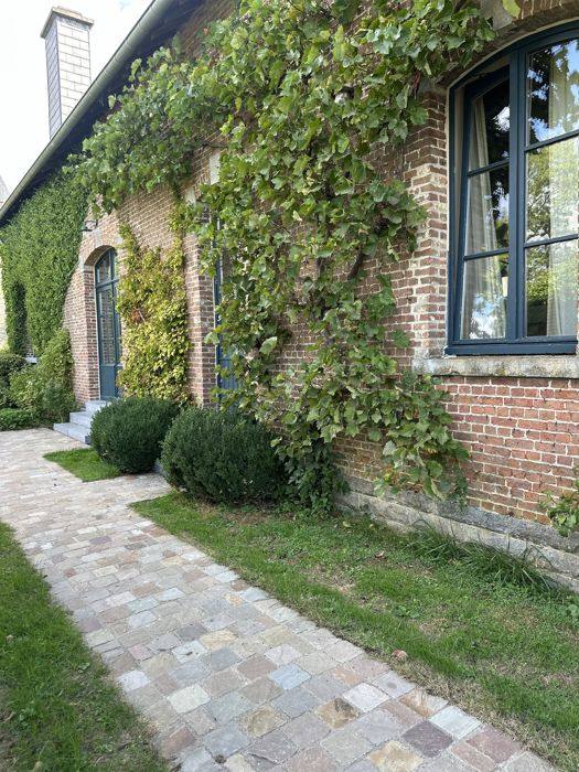 Façade en briques du château couverte de vigne