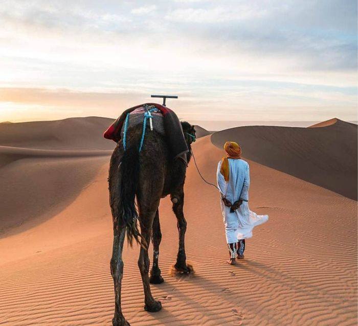 Un chamelier et son dromadaire sur la crête d'une dune