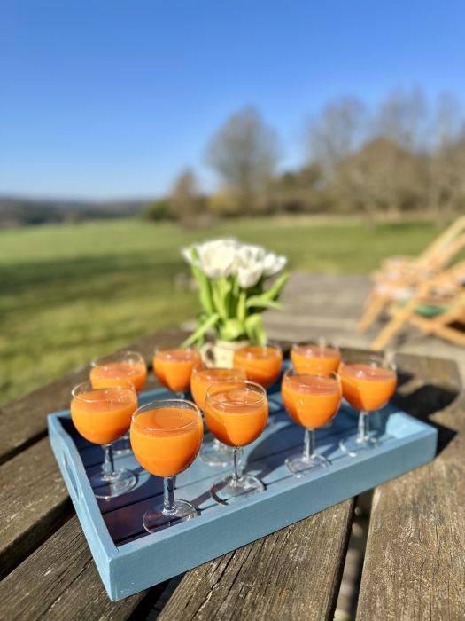 Plateau de verres de jus de carotte frais en plein air