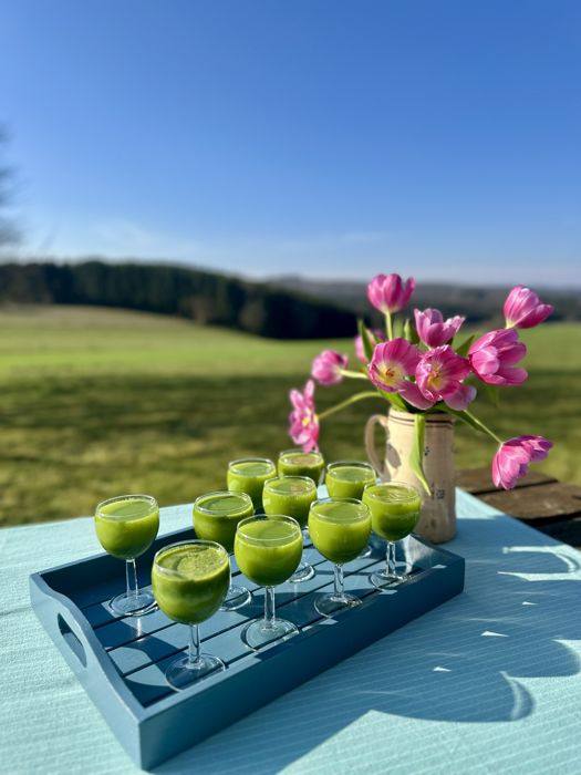 Plateau de jus verts et bouquet de tulipes en pleine nature