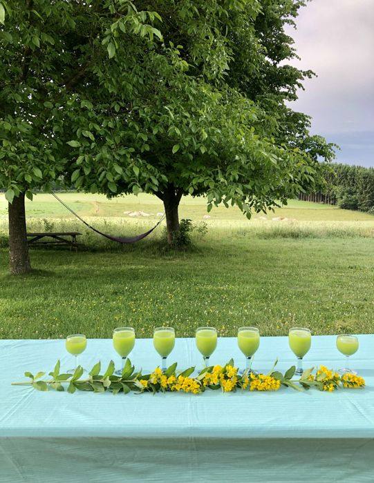 Jus verts servis dans le jardin, hamac sous les arbres